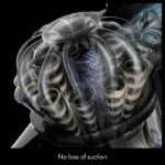 Dyson V8 Cyclone Cordless Stick Vacuum – 60 Min Runtime, Motorbar Cleaner Head - Image 6