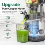 AMZCHEF Cold Press Juicer 2026 Upgraded, 6.5" Large Feed Chute for Whole Fruits & Vegetables - Image 6